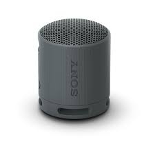 Sony SRS-XB100